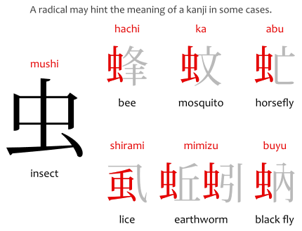 The 214 traditional kanji radicals and their variants