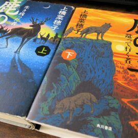 An Amazing Fantasy Novel – 鹿の王 (The Deer King)